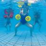 Aqua Disk smiley