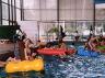 Piratenflose
